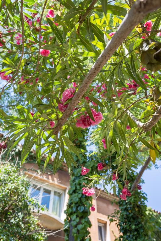 Villa Monticelli マルセイユ エクステリア 写真